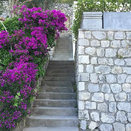 Holiday home Paradiso Capri